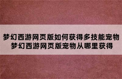 梦幻西游网页版如何获得多技能宠物 梦幻西游网页版宠物从哪里获得